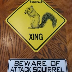 2 squirrel signs